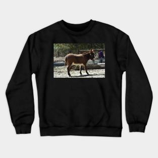 Donkey Crewneck Sweatshirt